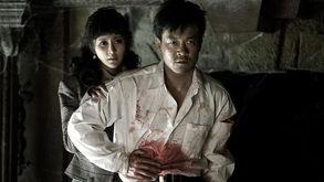 风声传奇在线观看,揭秘谍战风云背后的惊心动魄